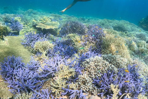 3 Islands Private Tour: Gili Nanggu, Gili Sudak & Gili Kedis