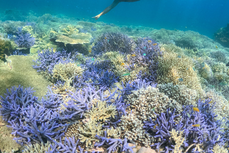 3 Islands Private Tour: Gili Nanggu, Gili Sudak & Gili Kedis