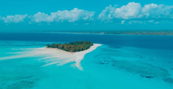 Zanzibar: Mnemba Island Dolphin Swim & Snorkel, Optional Lunch