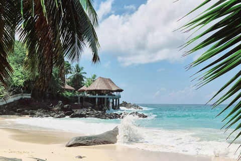 Fiji: Natadola Beach Horseback Riding Tour