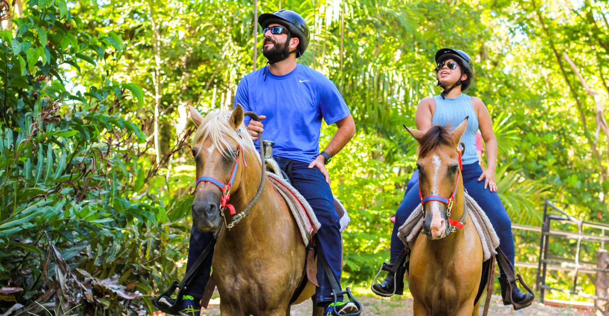 Carabalí Rainforest Park, Rainforest Horseback Riding Tour - Housity