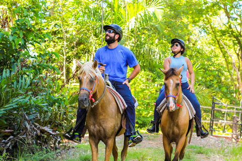 Carabalí Rainforest Park: Rainforest Horseback Riding Tour 2-Hour Horseback Ride