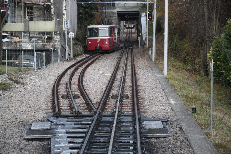 Aventura en transporte por Zúrich: Rueda dentada, Funicular y tour en barcoExcluyendo las subidas más largas