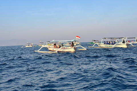 Bali: Lovina Sharing Boat for Dolphin Swimming