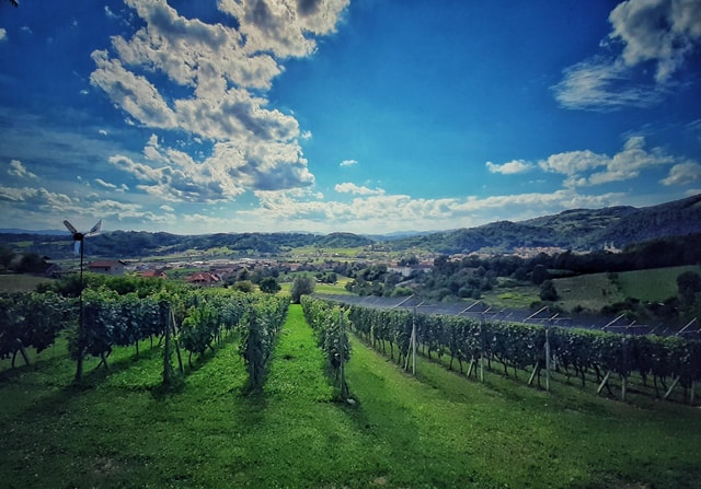 From Zagreb: Samobor & Plesivica Wine Road, Private