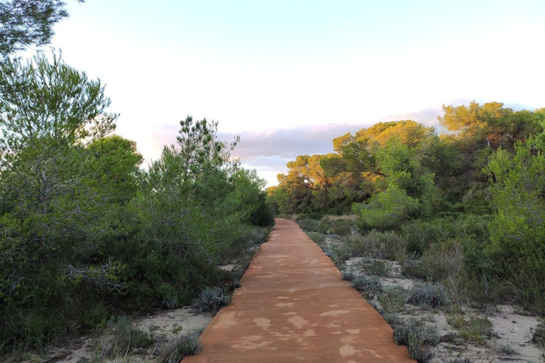 Entdecke die Devesa und die Albufera: Geführte Tour