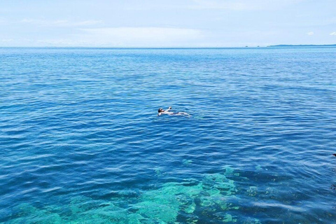 Panama City: Whale Watching Tour with Island Stop