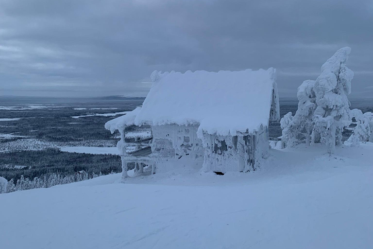 Levi: Snöskovandring: Tomtens stuga och picknick i natursköna omgivningar