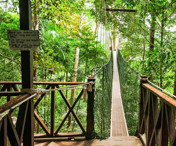 Fra Kuala Lumpur: Heldags Taman Negara Nationalpark