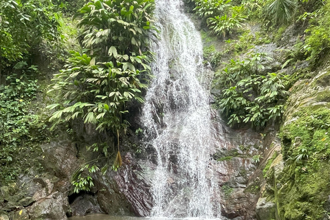 Minca: Coffee Farm and Hidden Waterfall Tour with Lunch