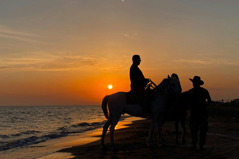 Girona: Full Moon Horseback Ride with Refreshments
