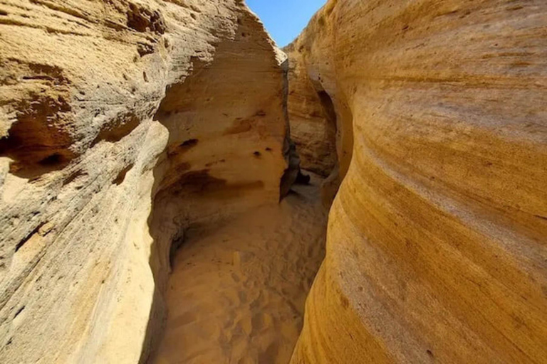 Agadir : Expérience guidée de sandboarding et visite guidée du canyon