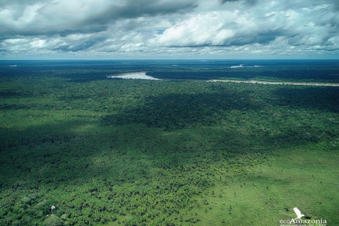 Puerto Maldonado: 3-day Tour to Tambopata National Reserve Charms of the Amazon: 3-day Tambopata National Reserve