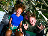 Biddinghuizen, Walibi Holland Entry Ticket - Housity
