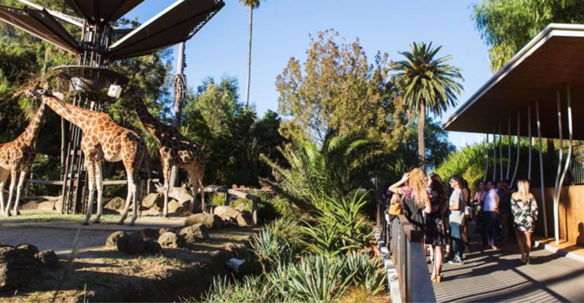 Melbourne City Surrounding Sightseeing Tour photo 7