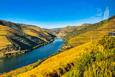 Porto: Dourovallei-ervaring met 3 wijnhuizen en lunchDouro Valley Tour: 3 wijngaarden allemaal inbegrepen