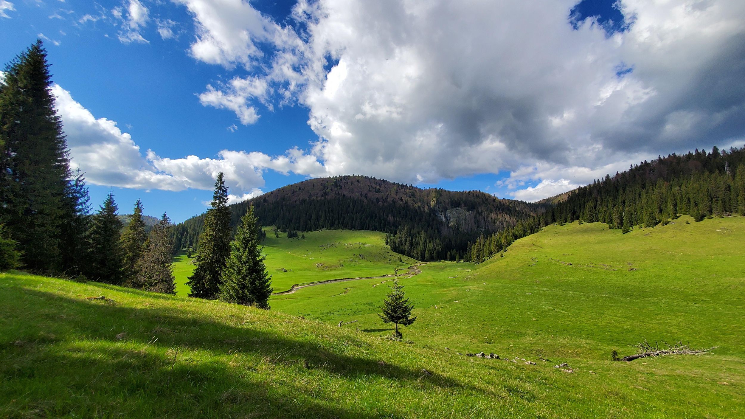 Von Cluj-Napoca aus: Geführte Wanderung in den Karpaten