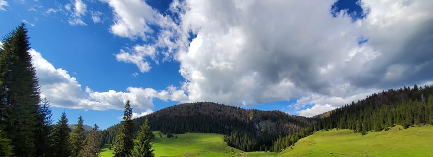 Depuis Cluj-Napoca : Randonnée panoramique guidée dans les Carpates