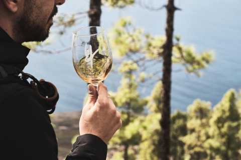 La Palma : Visite du vignoble Bodegas Teneguia avec dégustation de vins
