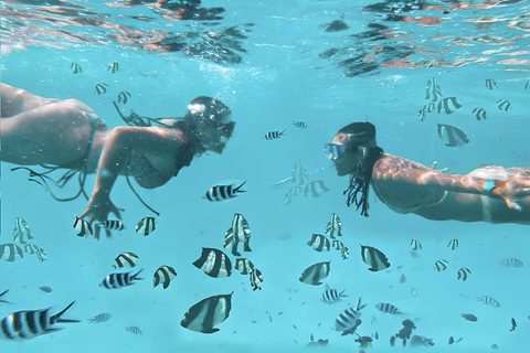 From zanzibar: Starfish, blue lagoon and the rock restaurant