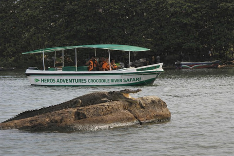 Mirissa to Matara Crocodile Watching Nilwala Boat Tours Private Boat River Fishing