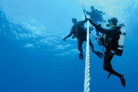 Tour delle immersioni con trasferimento da Alanya e dalla città di Side