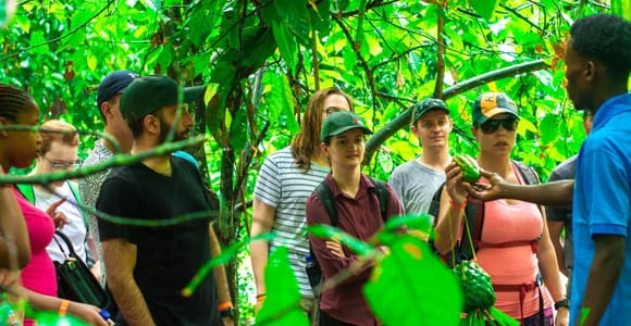 Zanzibar: Spice Farm & Stone Town City Tour with a Guide