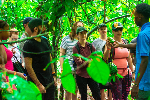 Zanzibar: Jozani Forest rondleiding met lunch