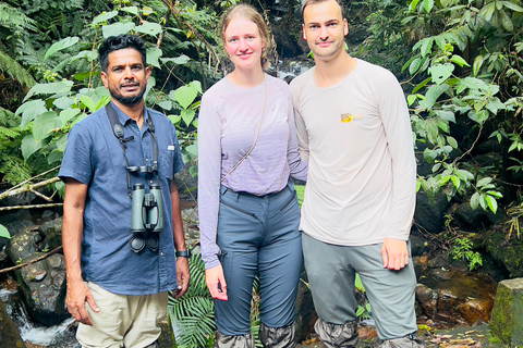 Talangama Wetlands Birdwatching & Local Village Experience