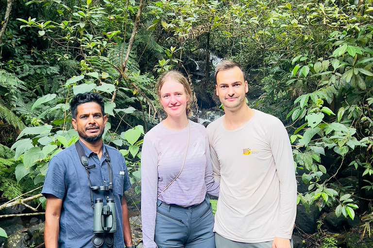 Talangama Wetlands Birdwatching & Local Village Experience