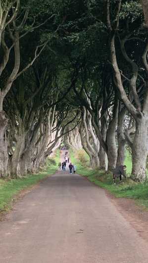 From Belfast Game Of Thrones and Giants Causeway tour