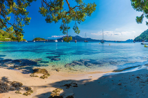 Mallorca: Discover Paradise: Formentor and Playa de Muro