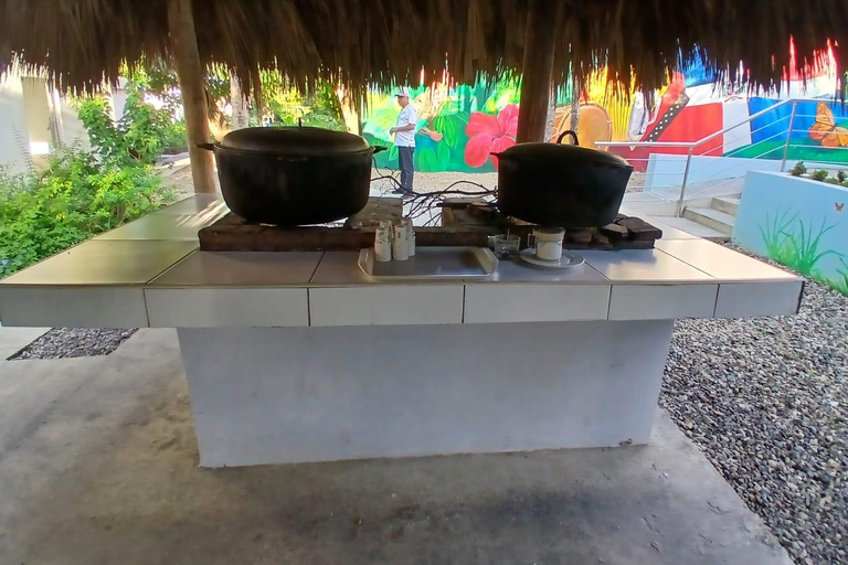 Puerto Plata: Countryside tour with Monkey Home, butterflies, and coffee