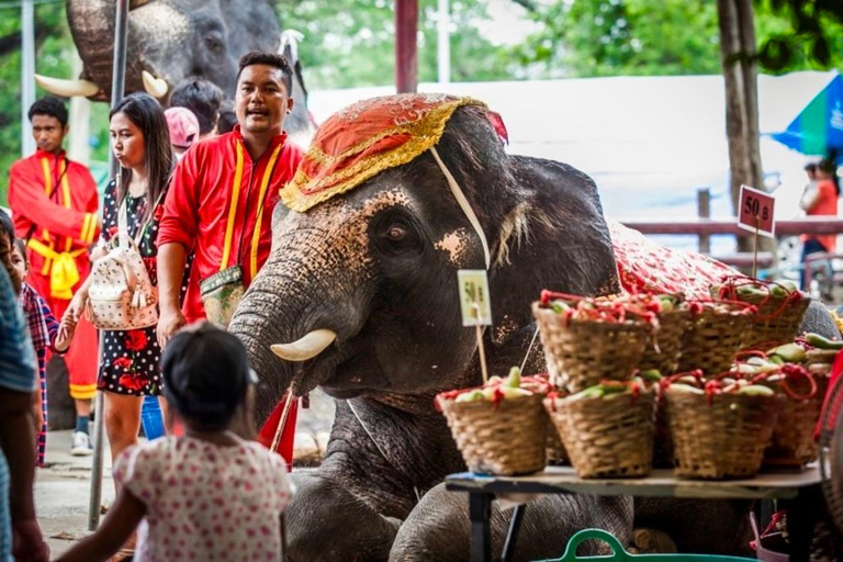 From Bangkok: Private Guided Ayutthaya Day Tour Guide+Ticket/ Wt Mahathat/ Wt PhraSri/ Elephant Vil/ Wt Chai