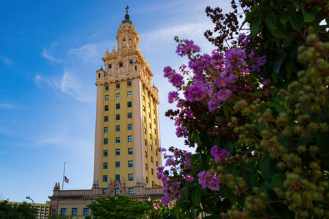 Excursion à terre depuis le port de Miami : visite de la ville et croisière commentée