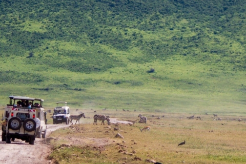 1 Dag Ngorongoro krater safari