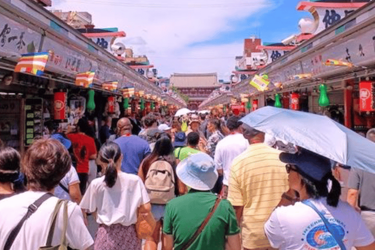 Tokyo Full Day Customizable Private Tour with English Guide