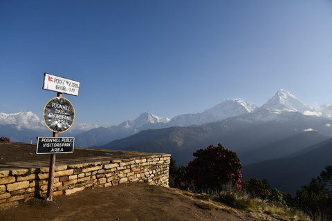 Ghorepani Poon Hill Ghandruk Trek avec guideghorepani Poon Hill Ghandruk Hike