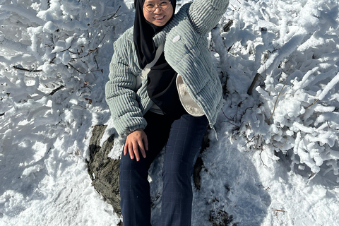 Från Seoul: Snötäckt skönhet i Deogyusan nationalpark