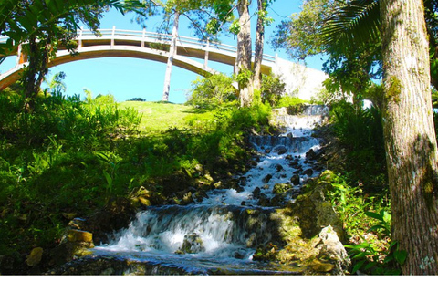 Puerto Plata: Cable Car and Isabel de Torres National Park Tour Puerto Plata: Cable Car Excursion to Pico Isabel de Torres