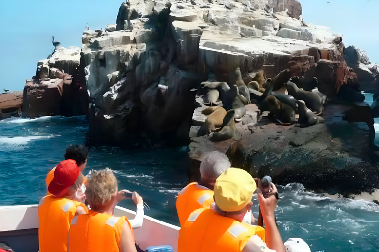 Excursión 1 día: Descubre Paracas y el Oasis de Huacachina