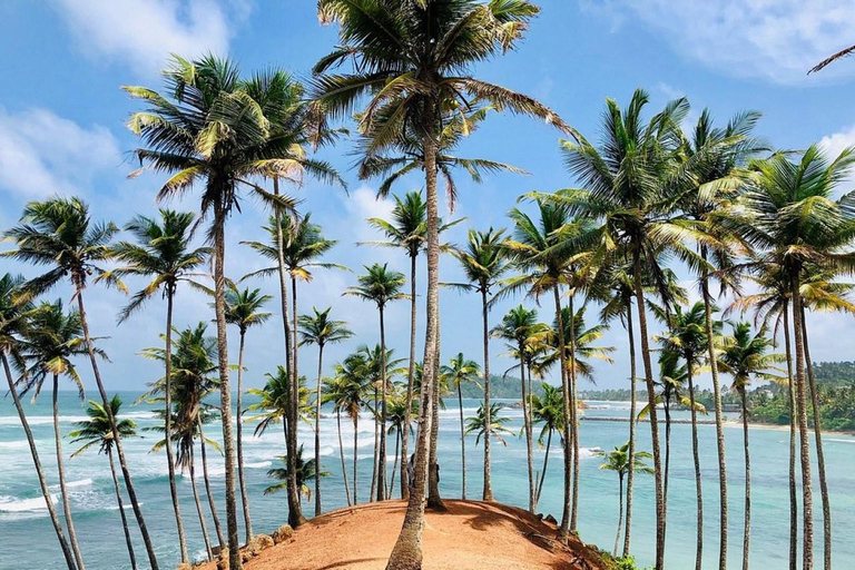 From Colombo: Mirissa Coconut Tree Hill, Beach & Rock Tour