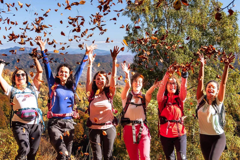 Brașov: Guided Hike with Snacks and Transfers