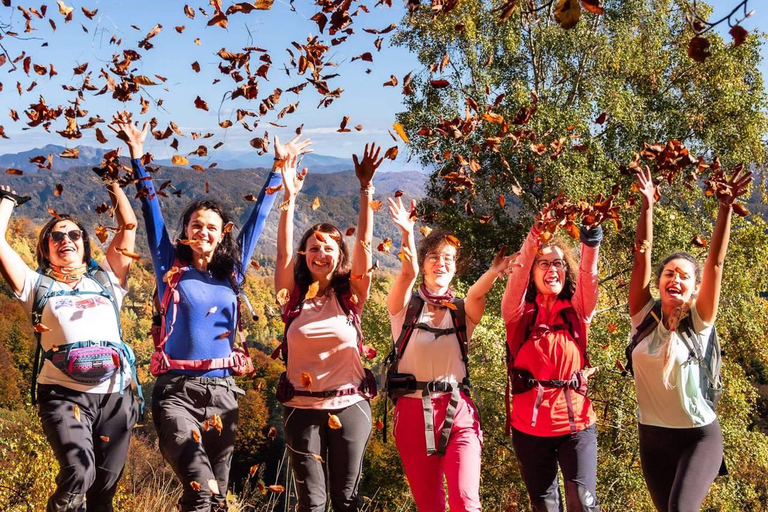 Brașov: Guided Hike with Snacks and Transfers