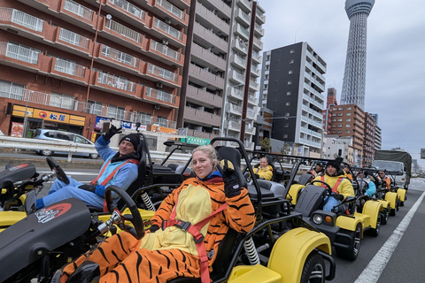 Cherry Blossom Go-Kart Tour z filmami i zdjęciami Insta360