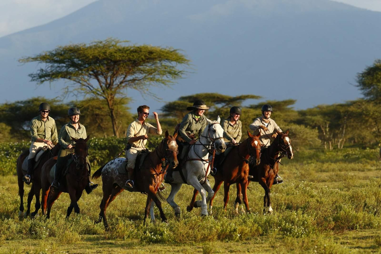 Arusha: Horseback Riding Safari in Dolly Estate
