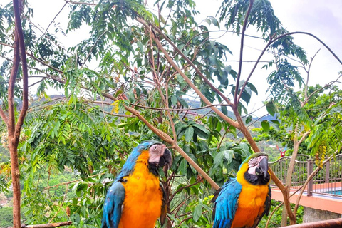 Trinidad: Macaw Bird Sanctuary, Lookout & Savannah Tour