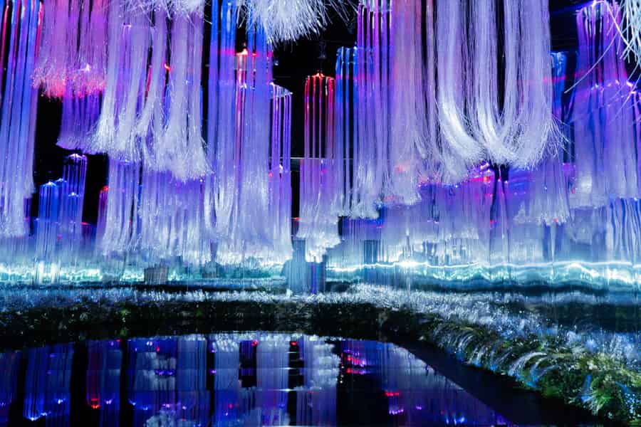 Los Angeles: Eintrittskarte für die immersive Ausstellung Neonika. Foto: GetYourGuide