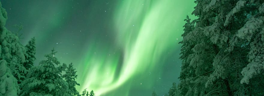 Rovaniemi : aurores boréales garanties, petit groupe et photos