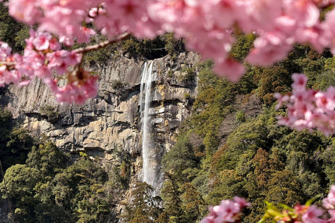 Kumano Kodo & Kumano Sanzan One-Day Tour from Osaka